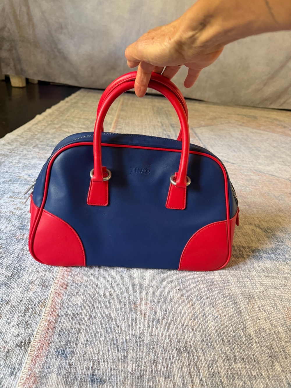 ARITZIA Throwback Small Bag